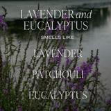 Sweet Water Decor Lavender and Eucalyptus Reed Diffuser