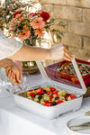 Pan Frame w/ Lid & Hot or Cold Gel Pack -White
