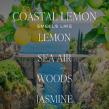 Sweet Water Decor Coastal Lemon Reed Diffuser
