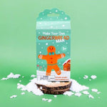 Make Your Own Gingerbread Man - DIY Craft Kit for Kids