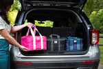 Fancy Panz Insulated Travel Bag