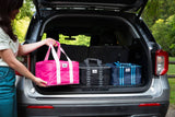 Fancy Panz Insulated Travel Bag